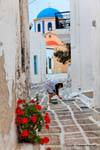 Serifos, Hora, painting street, Greece.