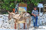 Sifnos, Pano Petali, the man and his donkey, Greece.