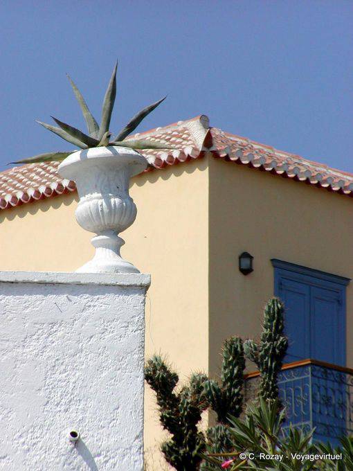Angles and succulents, Spetses - Greece