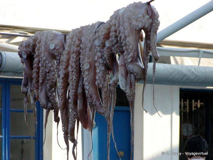 Drying octopus, Spetses - Greece