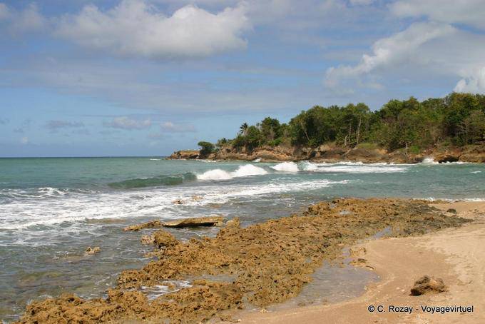 Rocky coast view between Deshaies and Sainte Rose - Guadeloupe