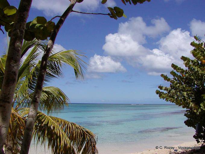 Caribbean clouds, beach of Anse du Souffleur - Guadeloupe