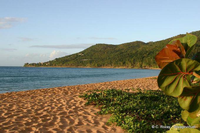 Sand ripples, Grande Anse beach, Deshaies - Guadeloupe