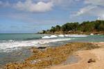 Rocky coast view between Deshaies and Sainte Rose, Guadeloupe.