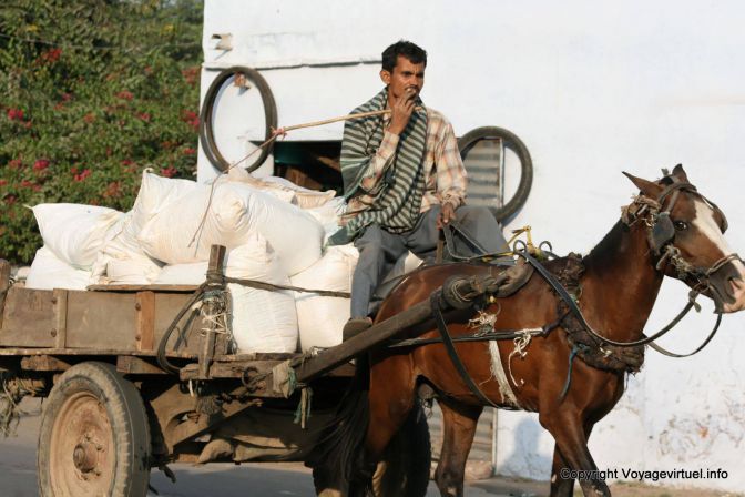 Agra Charette A Cheval - India
