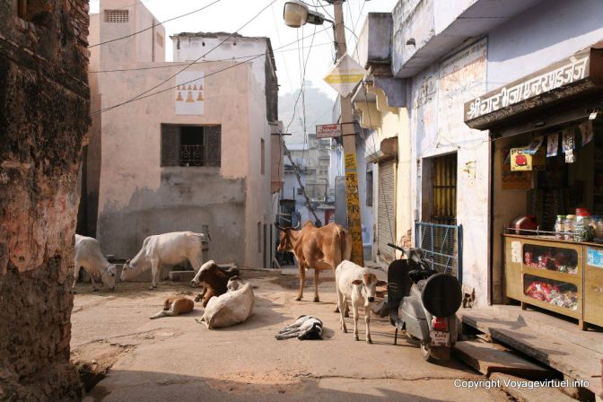 Bundi - India