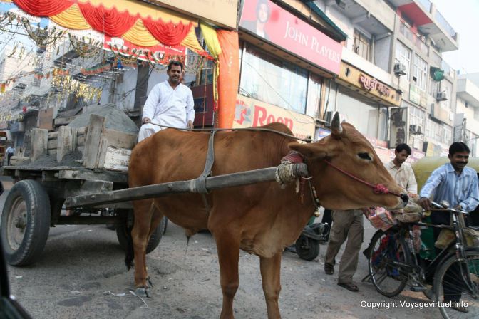 Delhi - India