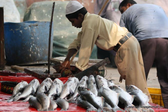 Delhi Old City - India