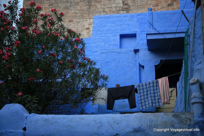 Jodhpur Old City Blue - India