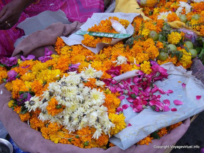 Udaipur - India