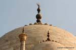 Agra Taj Mahal domes lotus design.