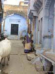 Bundi.