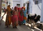 Pushkar.
