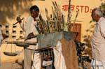 Route delhi a singhara pesee canne a sucre.