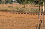 Route delhi a singhara terre labouree.