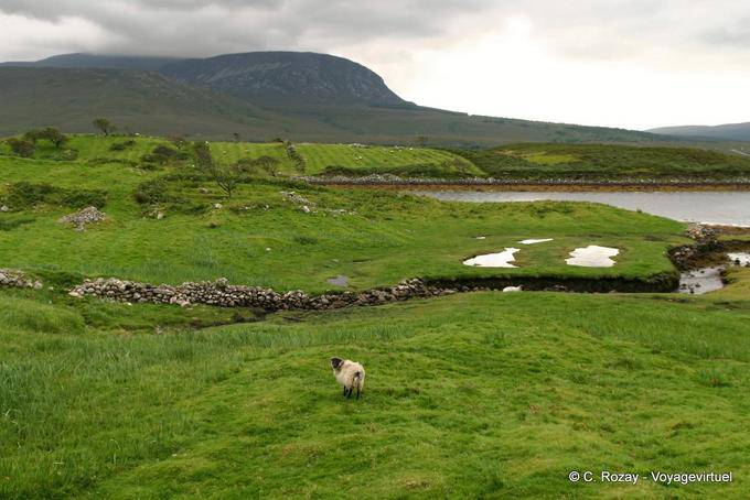 Landscape on the road to Mulranny, Mayo - Ireland
