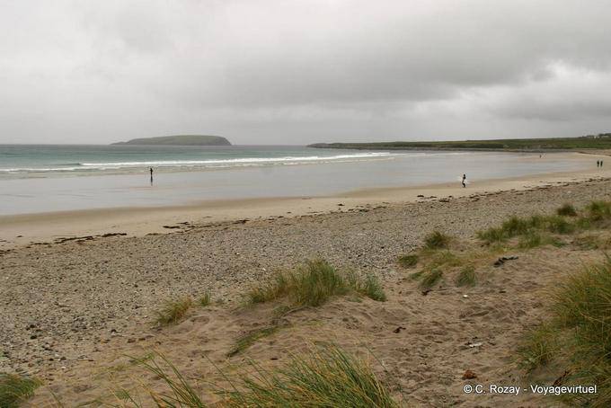 Brave on the beach of Keel, Achill Island - Ireland