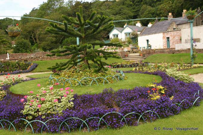 Parterre and Araucaria in the Victorian garden, Connemara Kylemore Abbey - Ireland