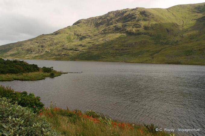 On the shores of one of countless lakes of Connemara - Ireland