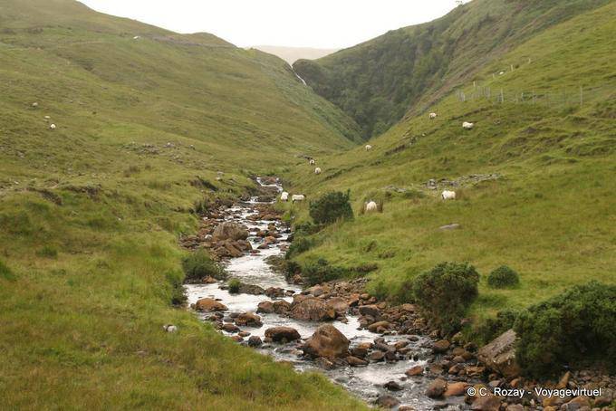 Torrent in a mini valley, Connemara - Ireland