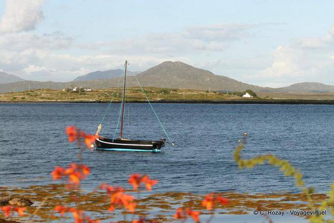 Hooker waiting Regatta, Roundstone, Connemara Galway - Ireland