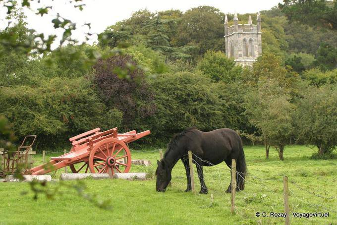 Grazing horses, Walled Garden, Bunratty Folk Park - Ireland