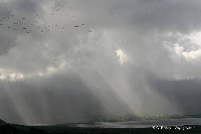 Rain and birds, Lough Gill, Dingle - Ireland