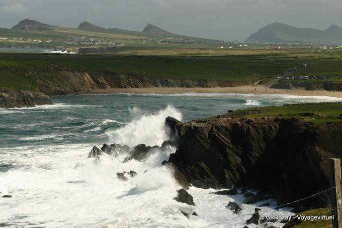 Cliffs and beach languages, Dingle Peninsula - Ireland