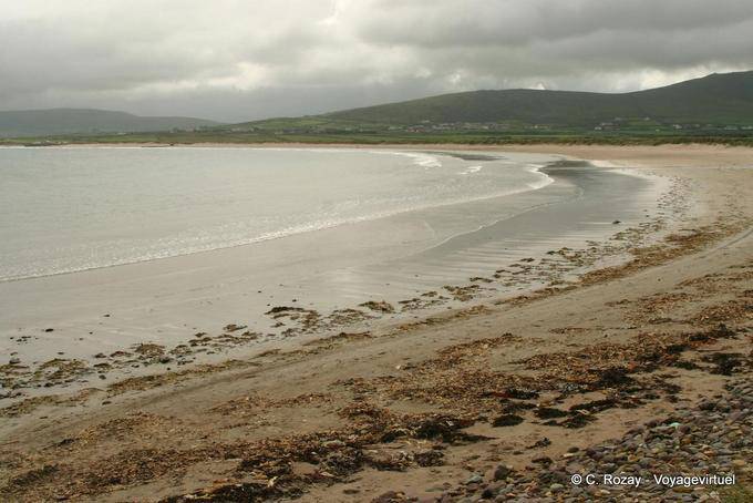 A beach to Ventry, Dingle - Ireland