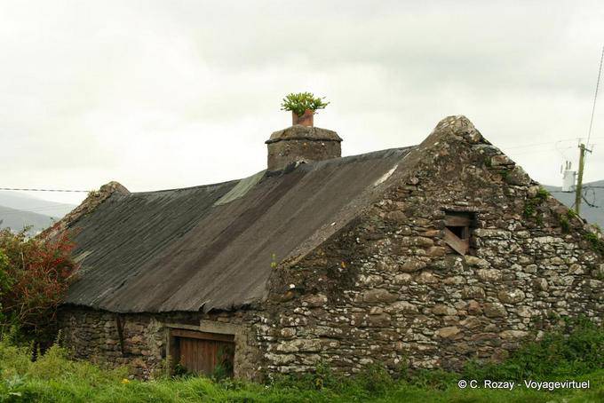 Culture in the chimney of an old house, Dingle - Ireland