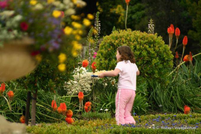 Kid playing in the flowers, Muckross House, Killaney - Ireland