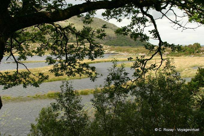 On the shore of Lough Doo, Killarney National Park - Ireland