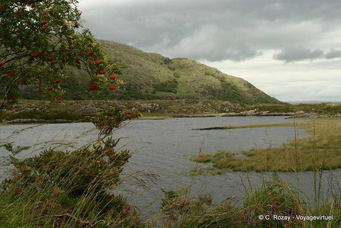 Towards Brickeen Island, Killarney National Park - Ireland