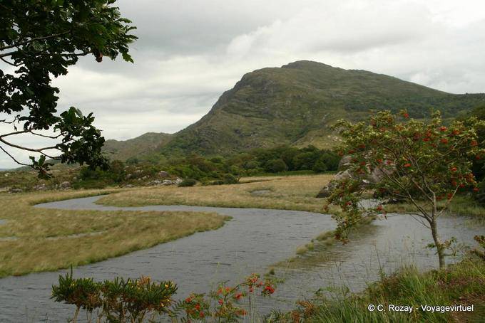The river born in the Upper Lake, Killarney National Park - Ireland