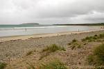 Brave on the beach of Keel, Achill Island, Ireland.
