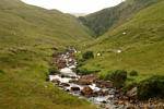 Torrent in a mini valley, Connemara, Ireland.