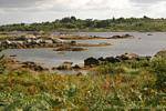 Landscape towards Carna, Connemara, Ireland.