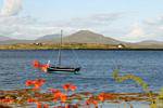 Hooker waiting Regatta, Roundstone, Connemara Galway, Ireland.