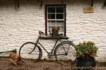 Ancient cycle, Bunratty Folk Park, Ireland.