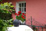 Geraniums in the window, Bunratty Folk Park, Ireland.