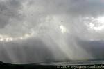 Rain and birds, Lough Gill, Dingle, Ireland.