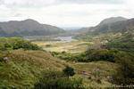 The lakes of Killarney National Park seen from the Ladies View, Ireland.