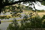 On the shore of Lough Doo, Killarney National Park, Ireland.