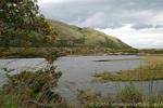 Towards Brickeen Island, Killarney National Park, Ireland.