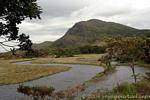 The river born in the Upper Lake, Killarney National Park, Ireland.