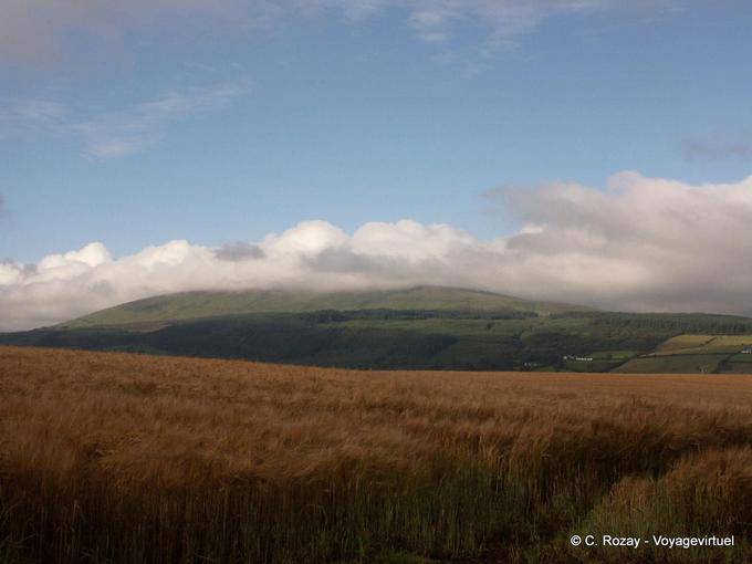 Irish landscape Contae Aontroma Antrim - Nothern Ireland