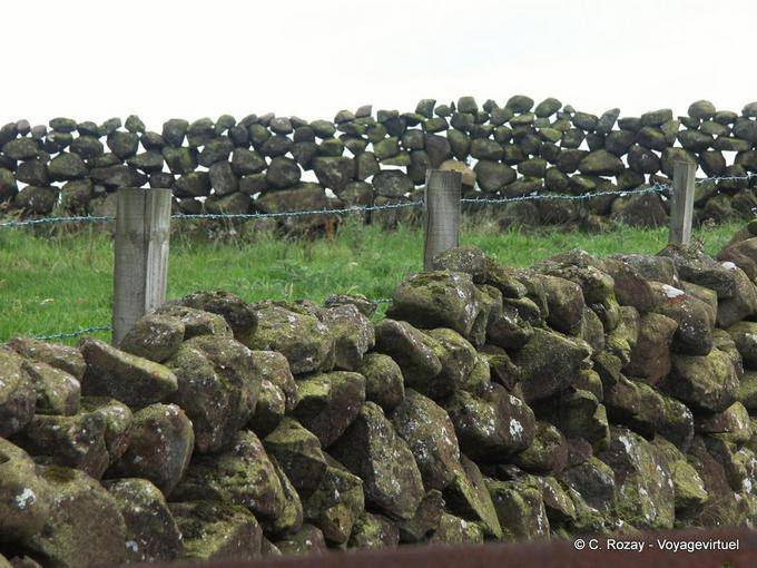 Stone Wall, typical of Ulster landscape, separating pastures, Antrim Coast - Nothern Ireland