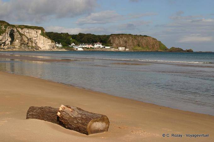 Driftwood on the sand in front of Port Braddan, White Park Bay - Nothern Ireland