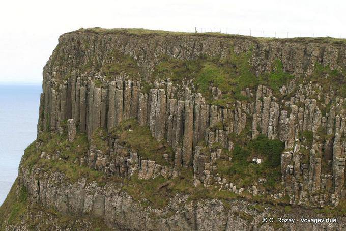Basalt organ pipes on the Antrim plateau, Giants Causeway - Nothern Ireland