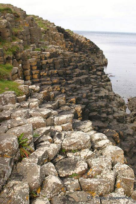 Transverse structure basalt chimneys, Giants Causeway - Nothern Ireland